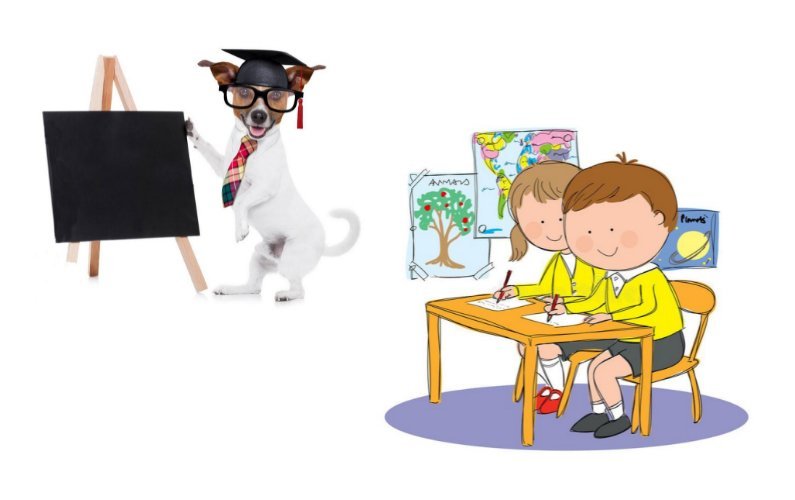 Cane che insegna a scuola_episcienzaebiofotoni