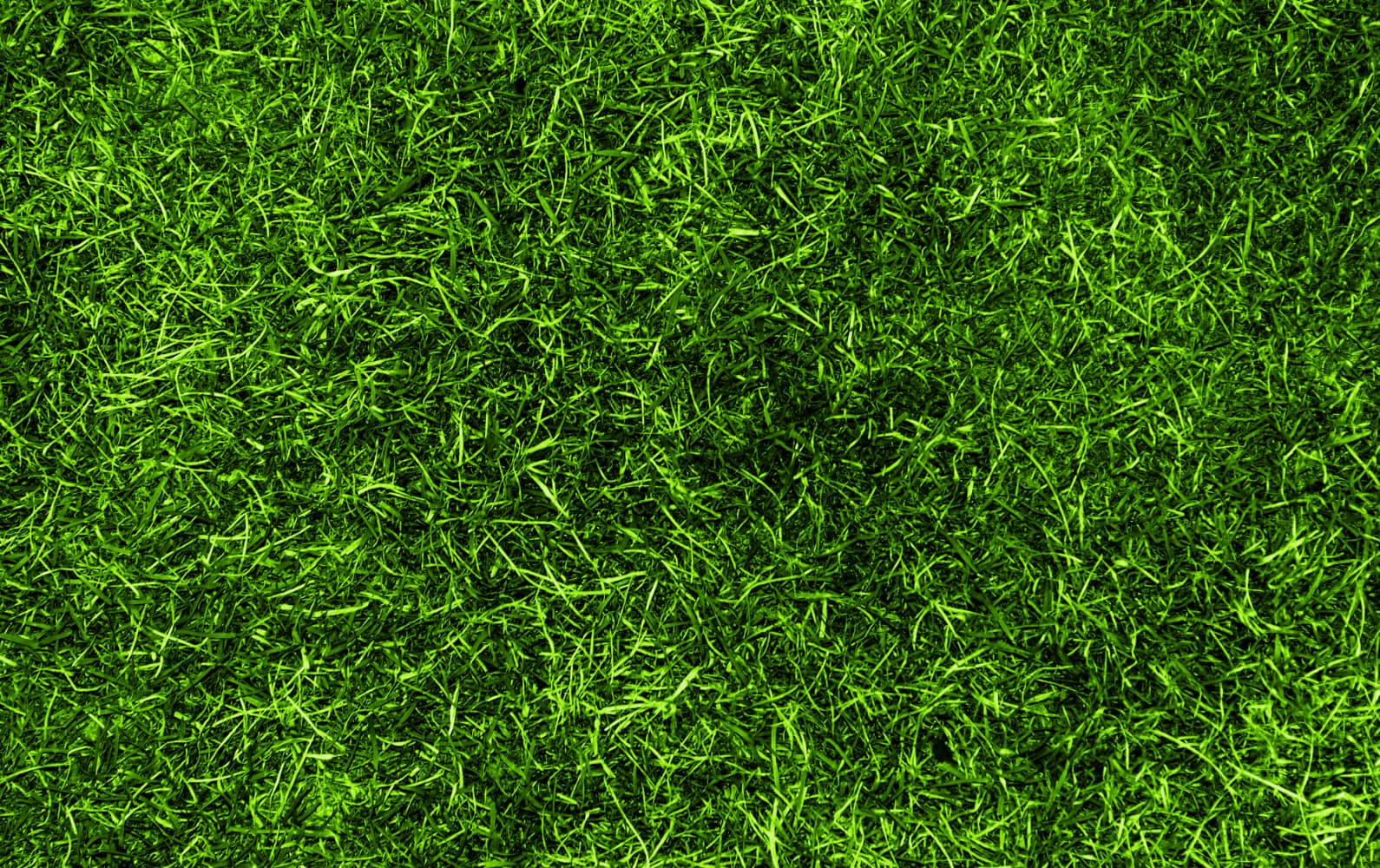 Il pianeta verde_episcienzaebiofotoni