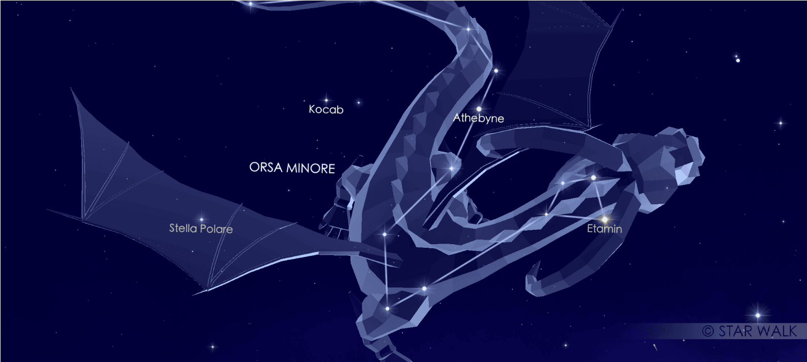 Costellazione del Drago_screenshot Star Walk_episcienzaebiofotoni