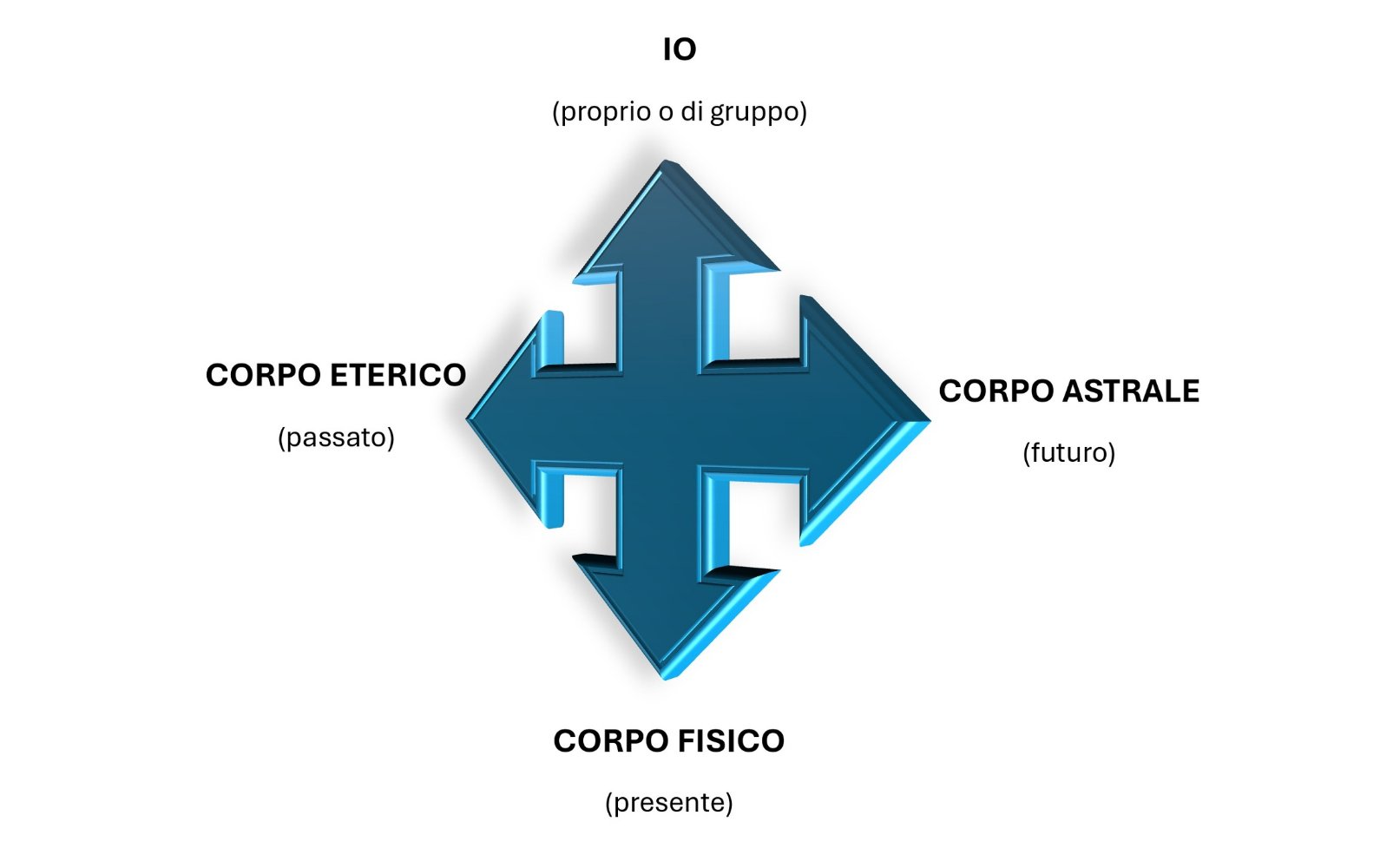 Schema struttura essere umano