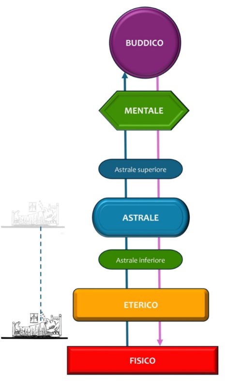Percorso risveglio interiore_episcienzaebiofotoni