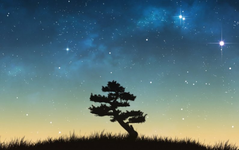 Piccolo viaggio universale