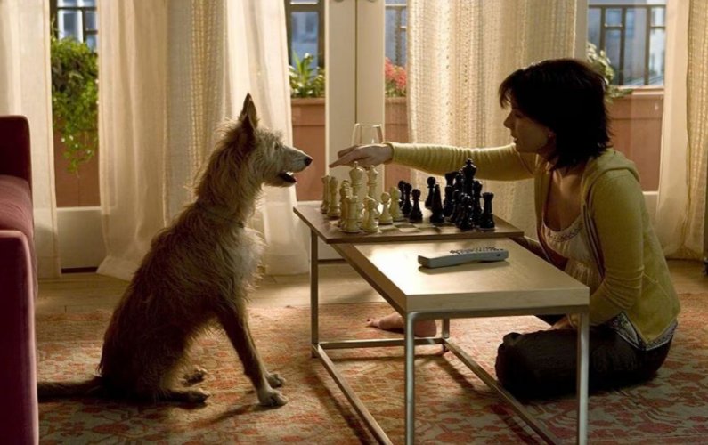 La casa sul lago del tempo_recensione_6